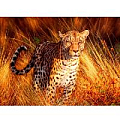 Алмазная  живопись 50*65см - Леопард
